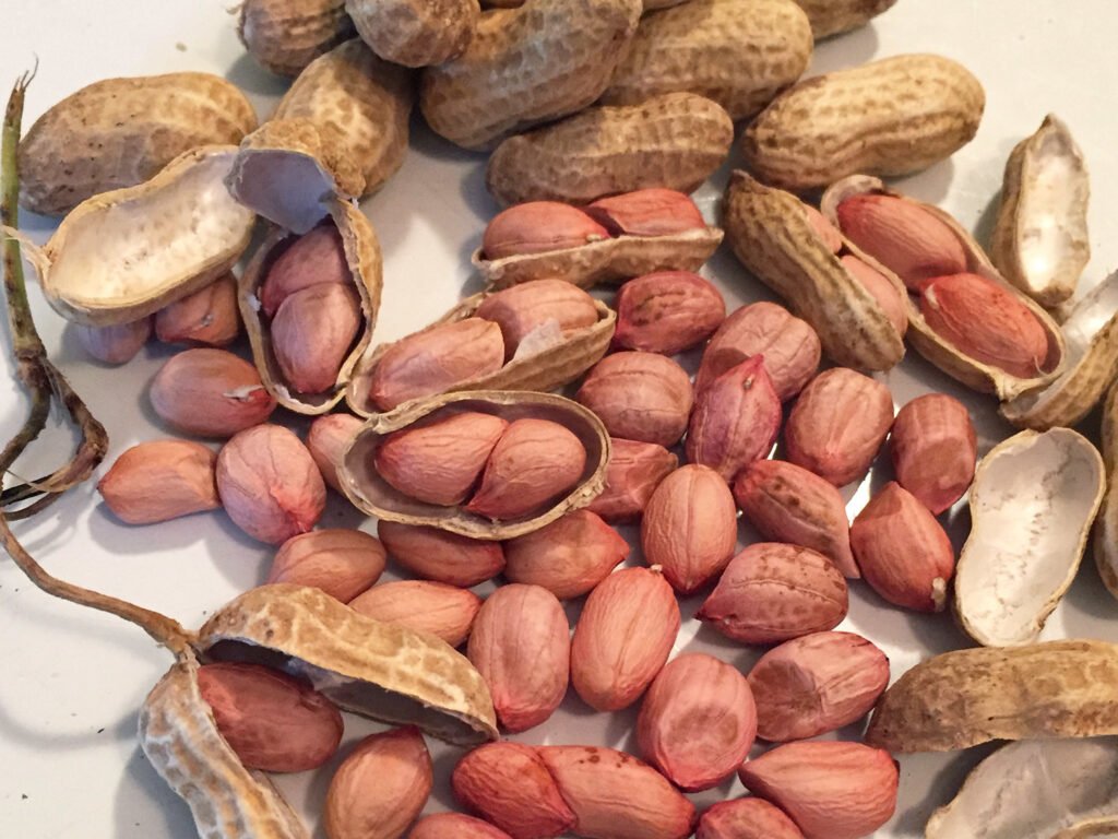 low-carb nuts keto friendly peanuts