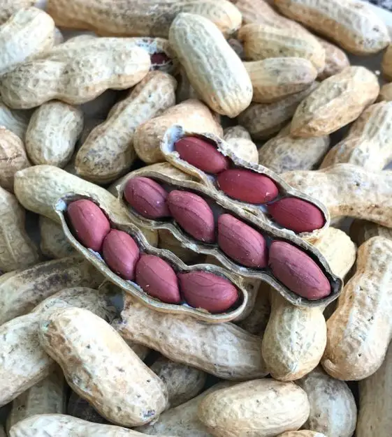 low-carb nuts keto friendly peanuts