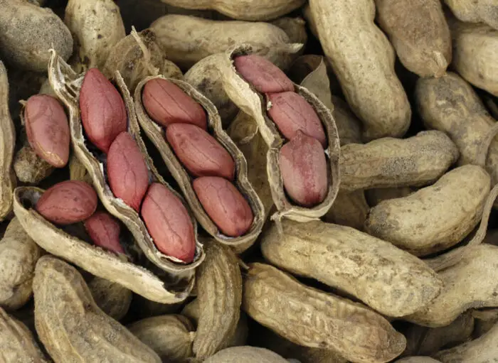 Carbs and Net Carbs in Peanuts low-carb nuts keto friendly peanuts