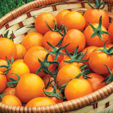 carbs in sun gold cherry tomatoes