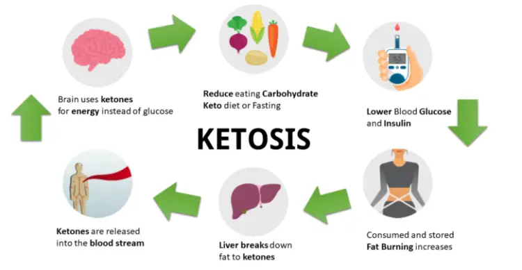 ketogenic diet work and process