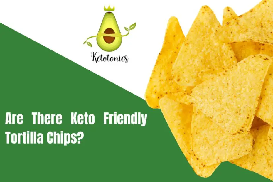keto friendly tortilla chips